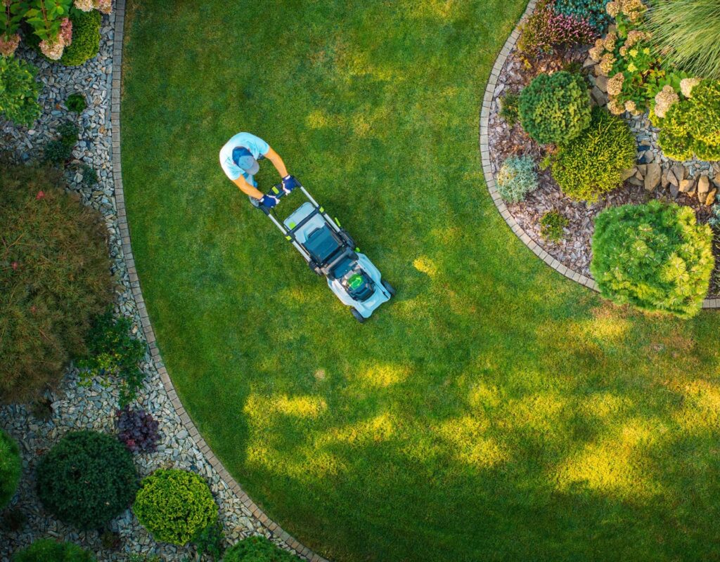 Entretien extérieur - Poitiers (86) - S.A.N Julien Chapelet