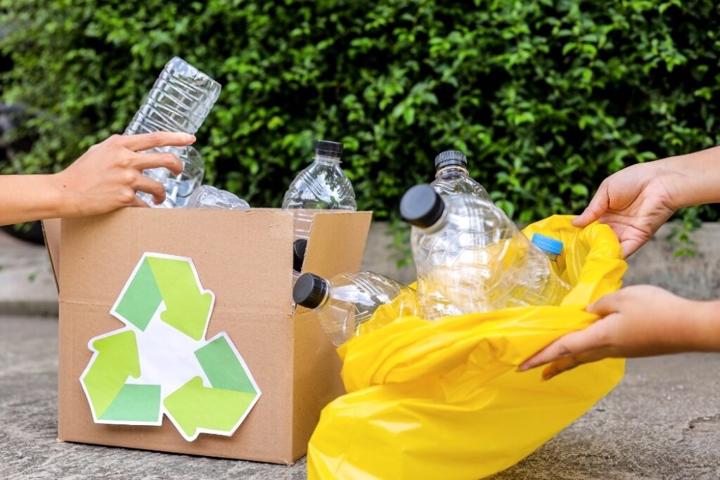 Petit débarras - Poitiers (86) - S.A.N Julien Chapelet