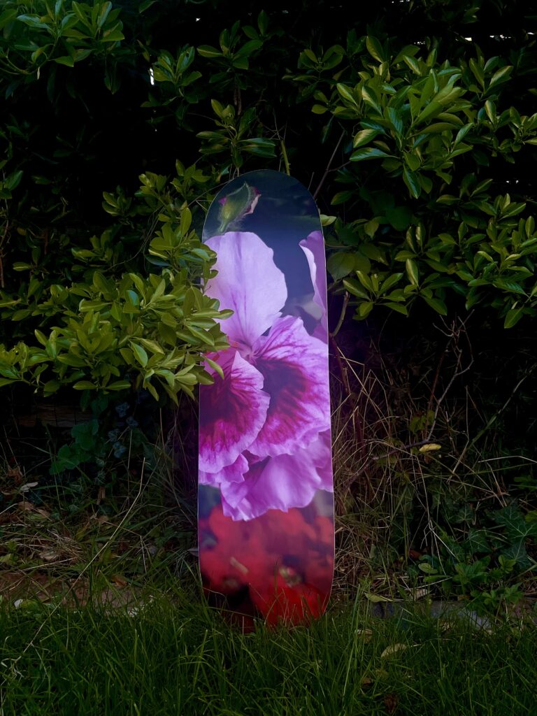 Planche de skateboard décorative - Julien Chapelet - Poitiers (86)