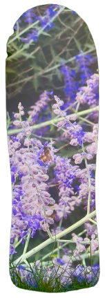 Planche de skateboard décorative - Julien Chapelet - Poitiers (86)