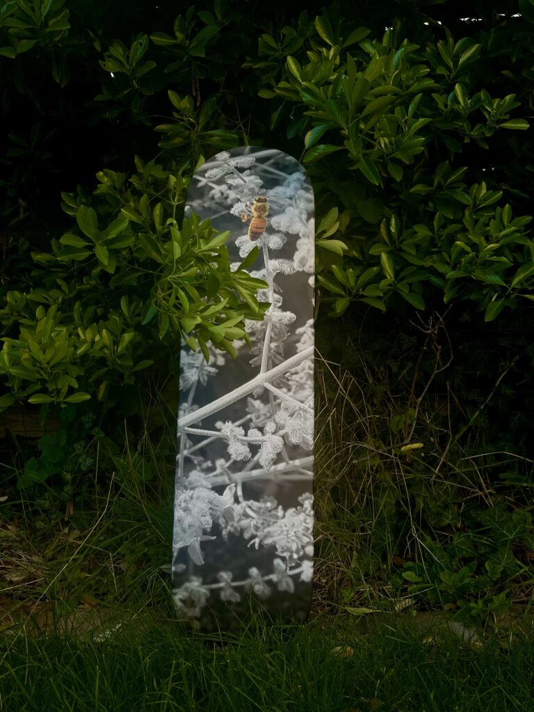 Planche de skateboard décorative - Julien Chapelet - Poitiers (86)