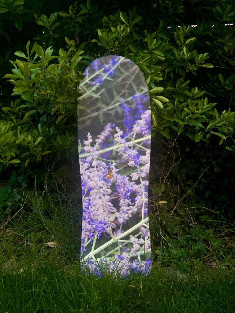 Planche de skateboard décorative - Julien Chapelet - Poitiers (86)